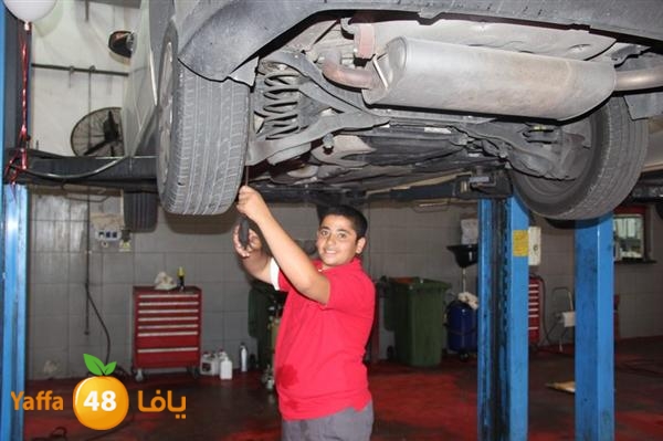 avis lud 0524 (13).JPG